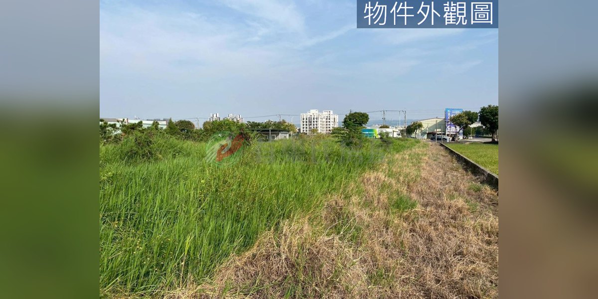 梧棲實景照片3