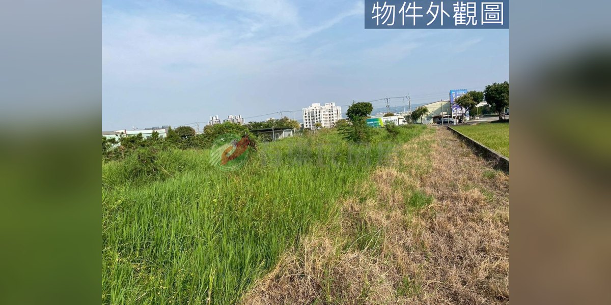 梧棲實景照片4