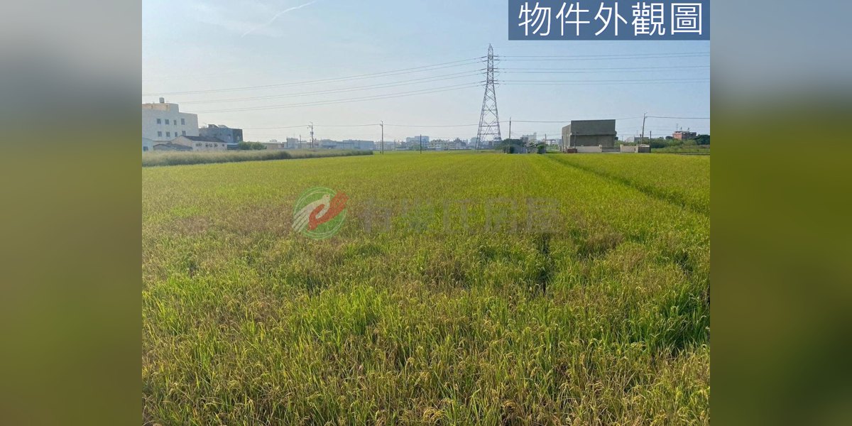 有巢氏房屋 物件實景