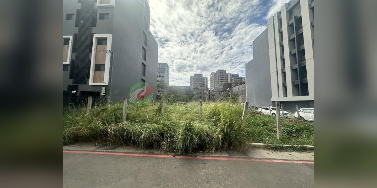 龍井實景照片1
