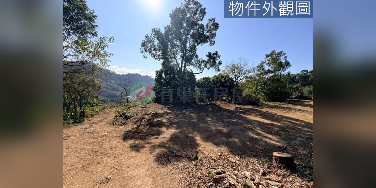 后里實景照片3