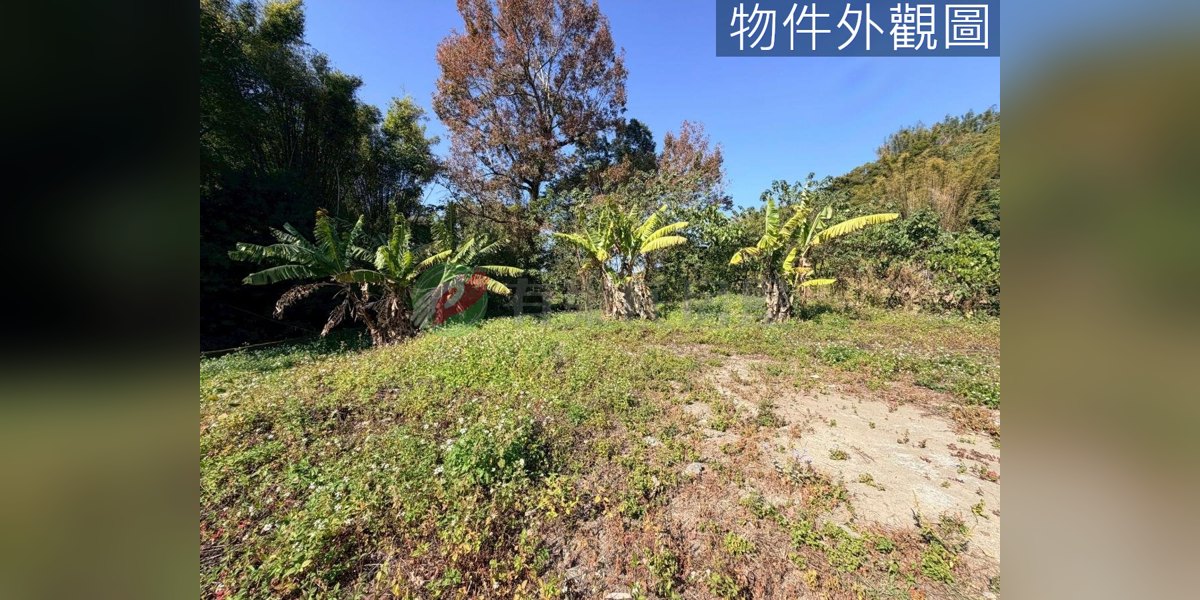 有巢氏房屋 物件實景