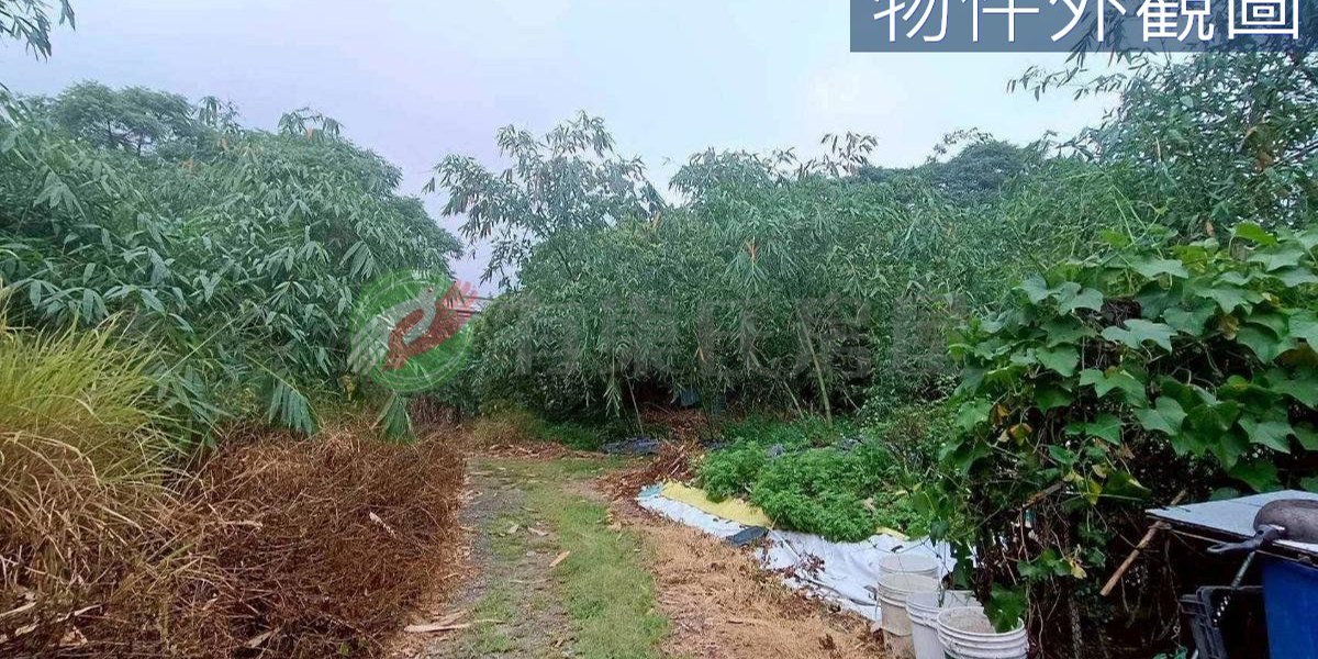 北屯實景照片3