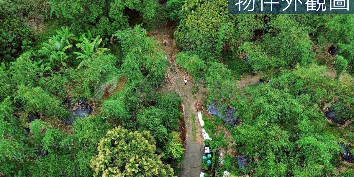 北屯實景照片4