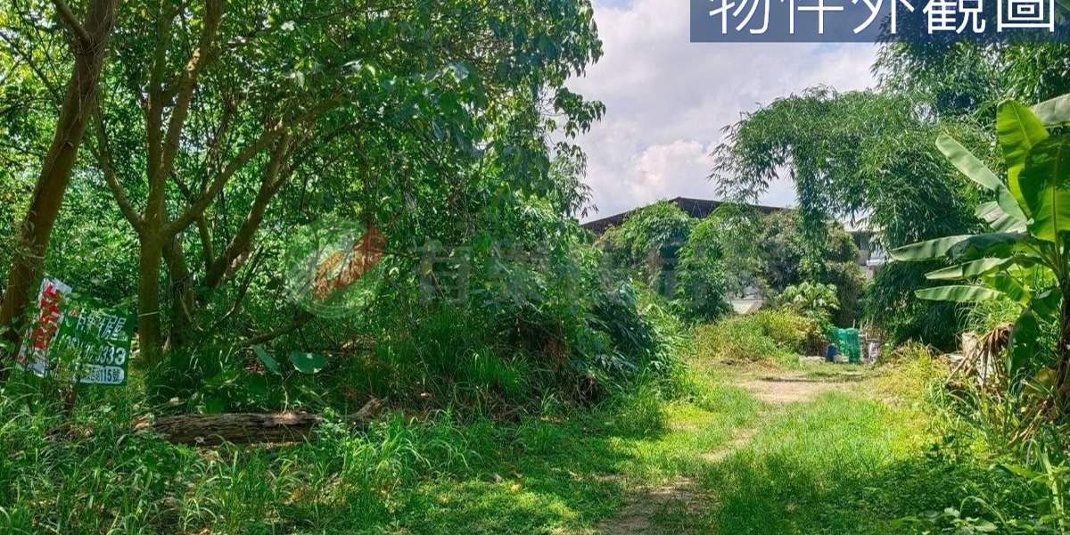 有巢氏房屋 物件實景
