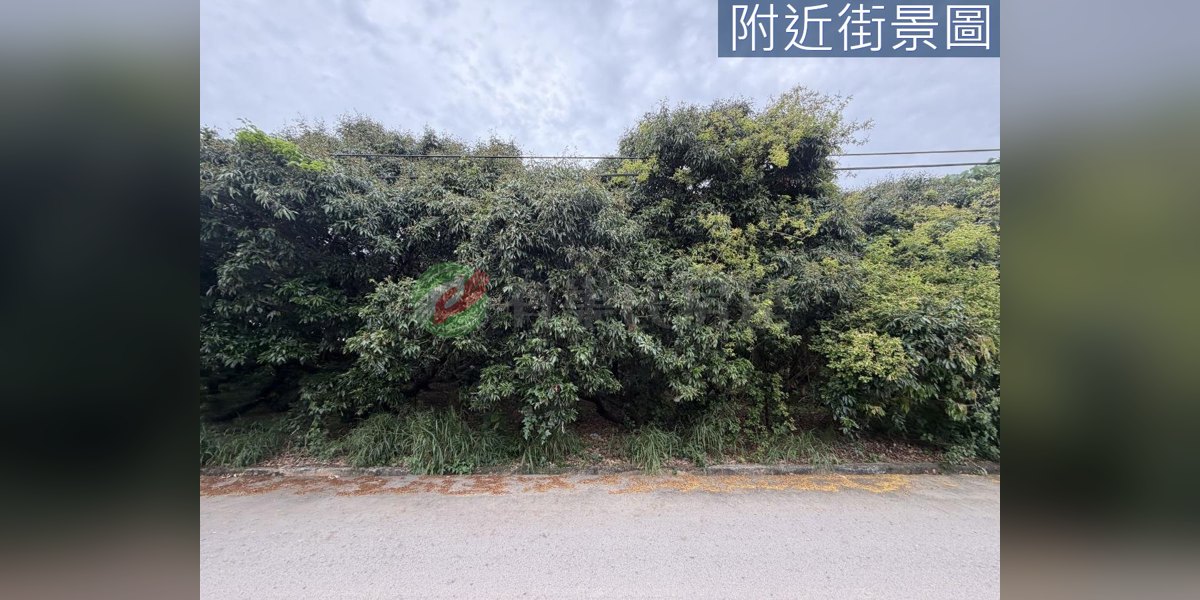 神岡實景照片4