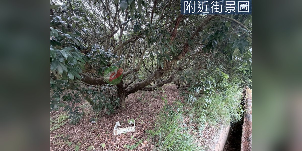 神岡實景照片5
