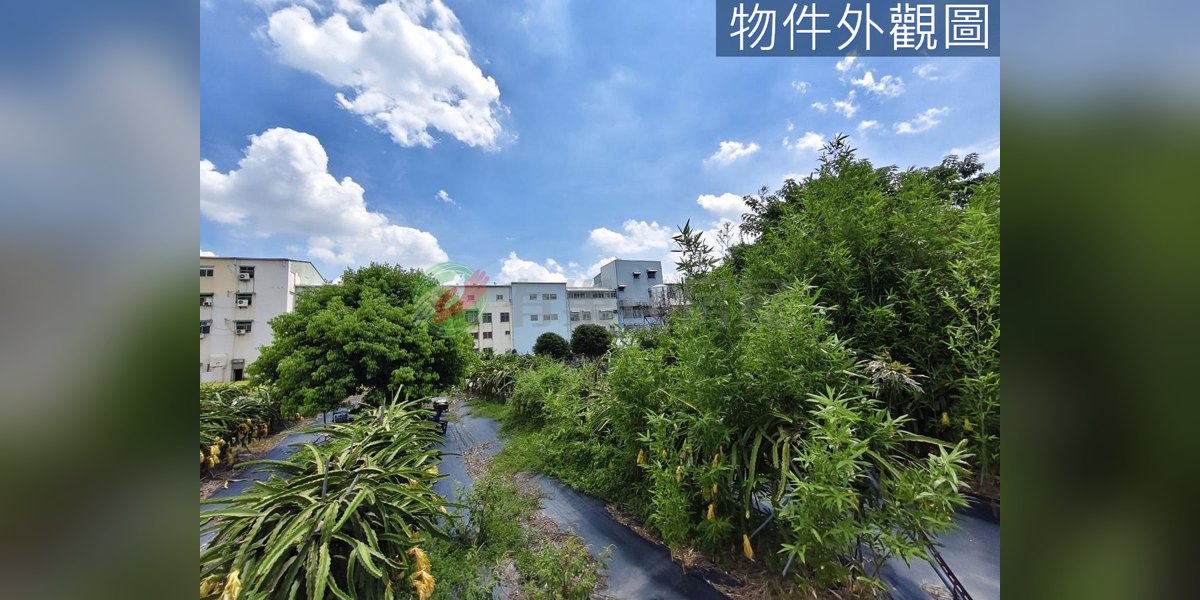 神岡實景照片5