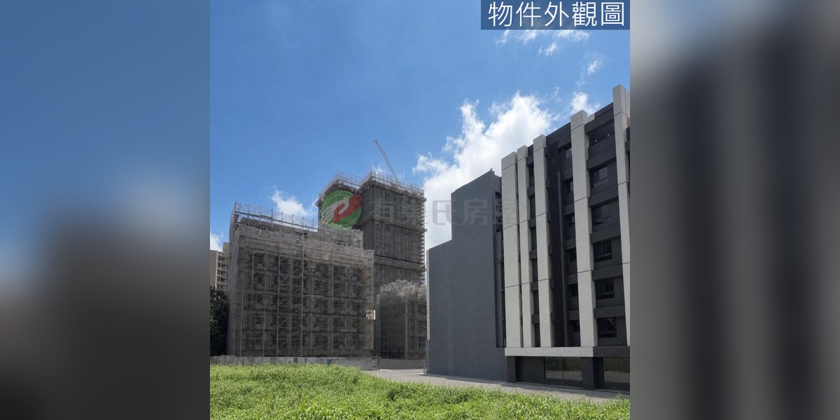 龍井實景照片1