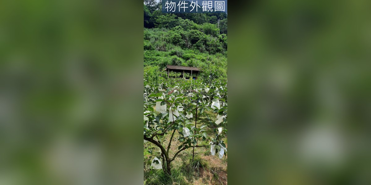 東勢實景照片3