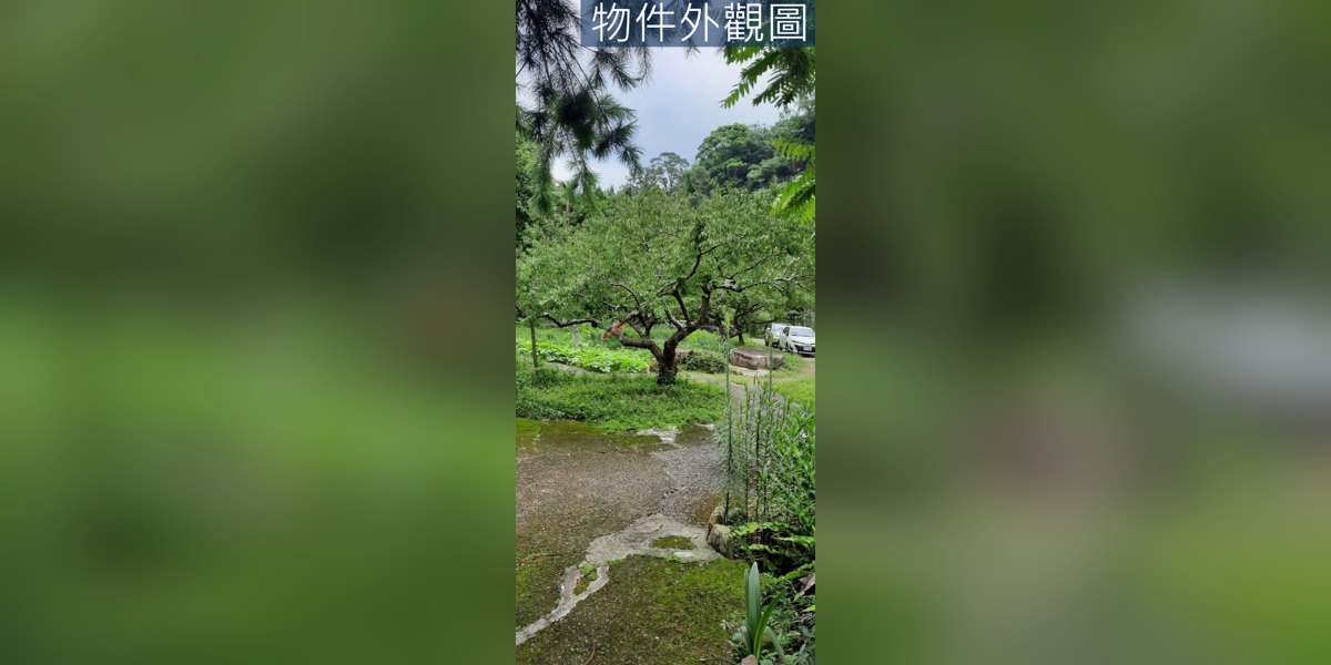 東勢實景照片4