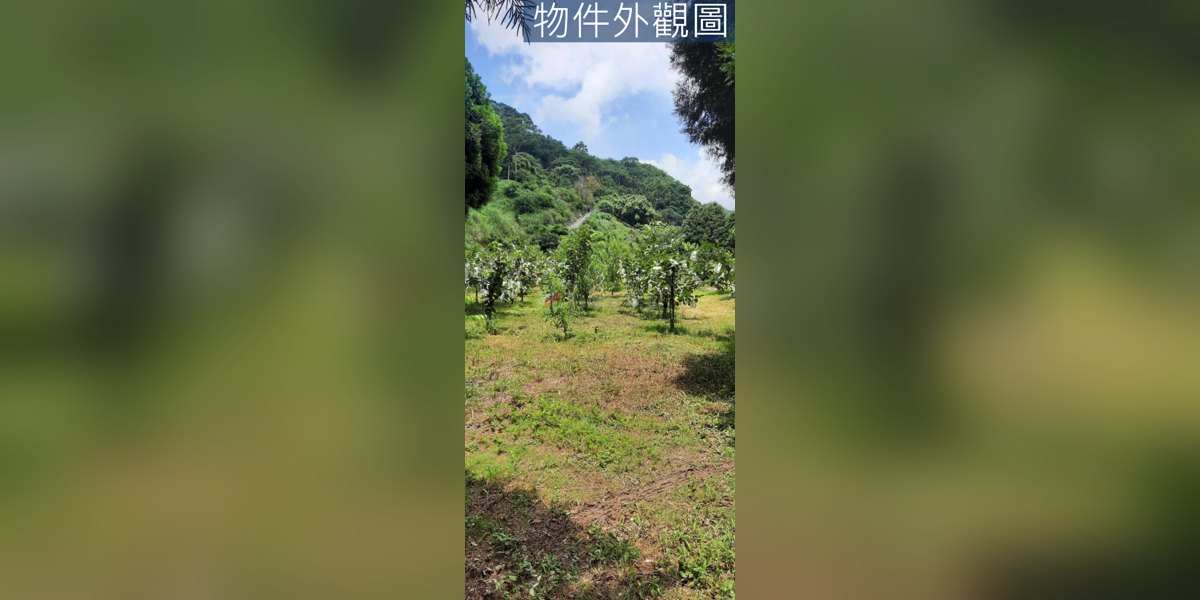 東勢實景照片6