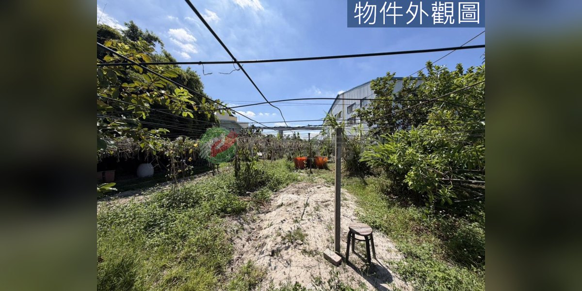 豐原實景照片5