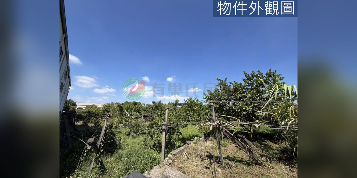 豐原實景照片6