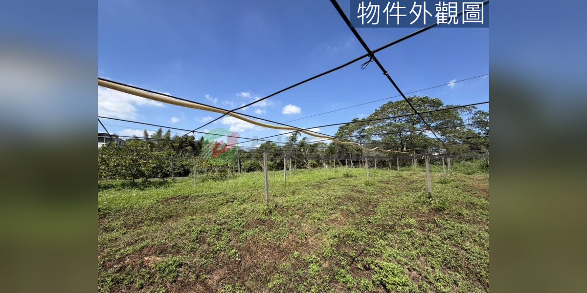 有巢氏房屋 物件實景