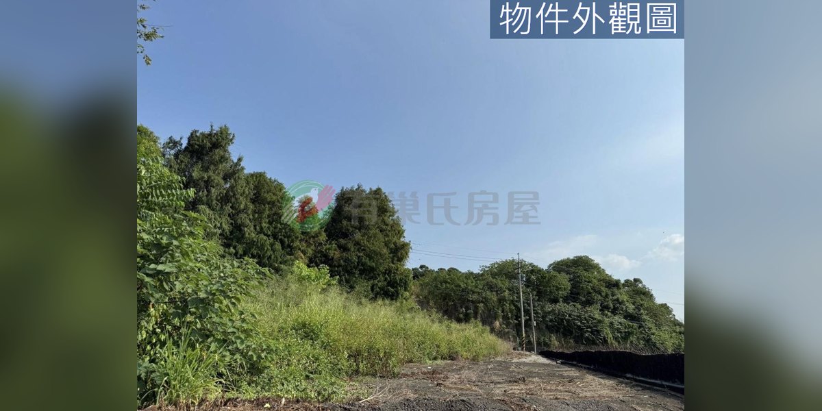 潭子實景照片1