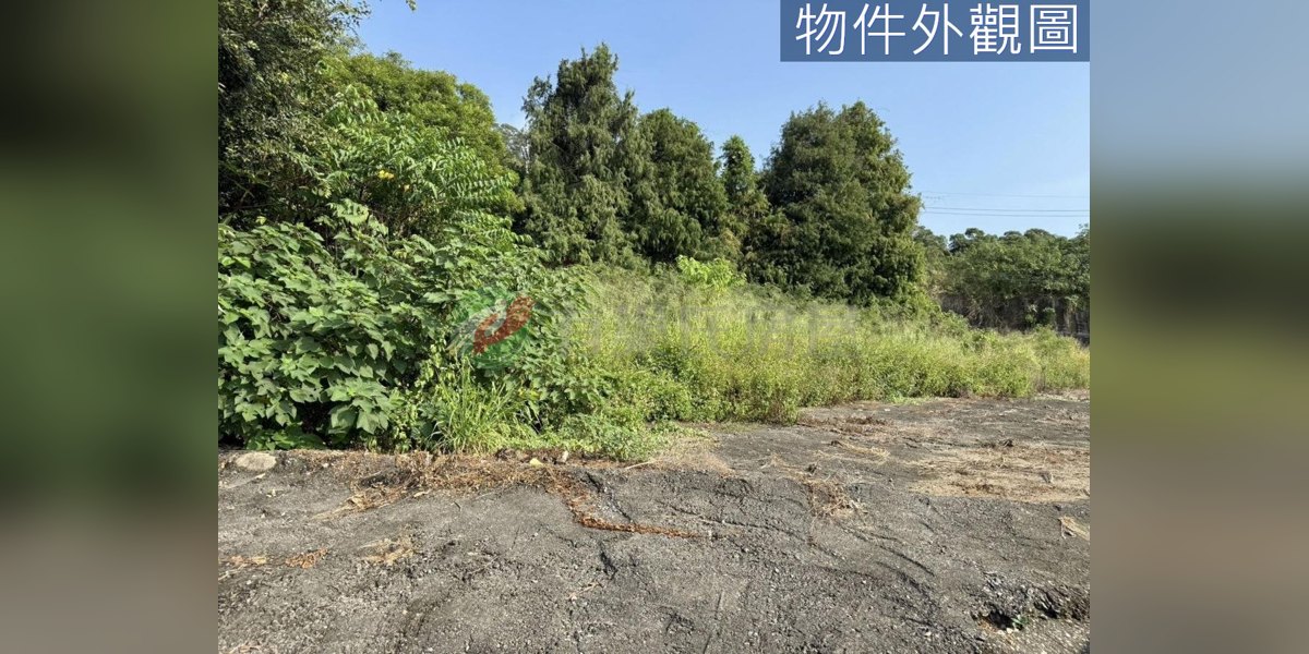 有巢氏房屋 物件實景