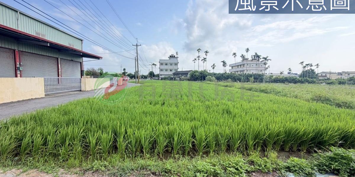 大雅實景照片1