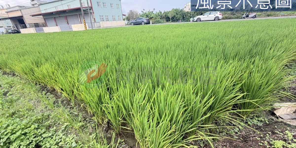 大雅實景照片4