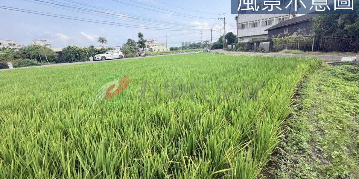 大雅實景照片5
