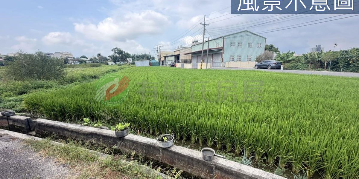 大雅實景照片6