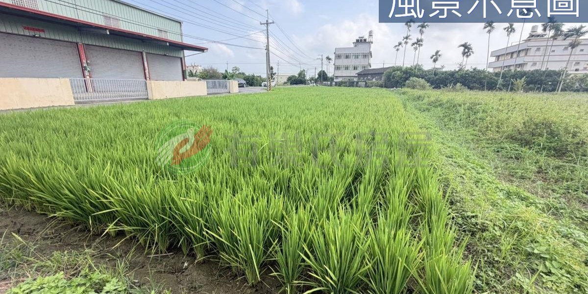 有巢氏房屋 物件實景