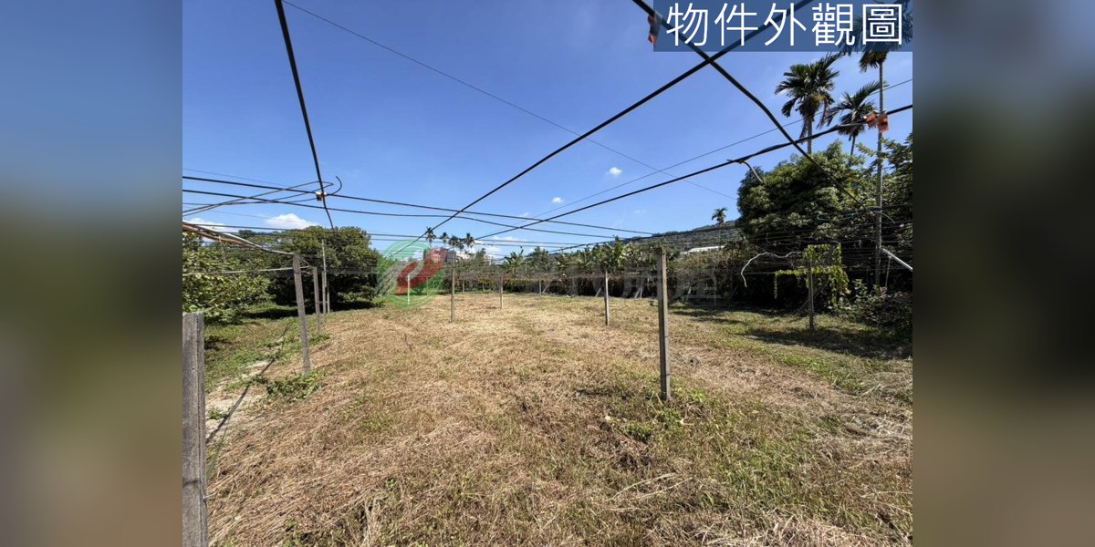 豐原實景照片3