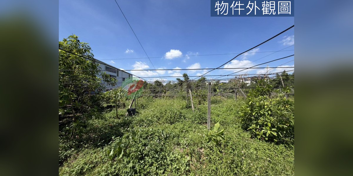 豐原實景照片5