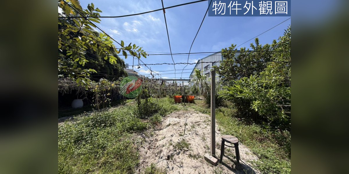 豐原實景照片6