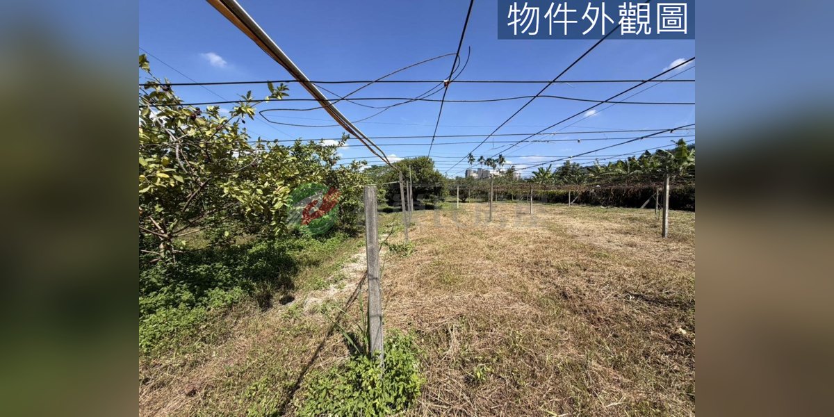 有巢氏房屋 物件實景