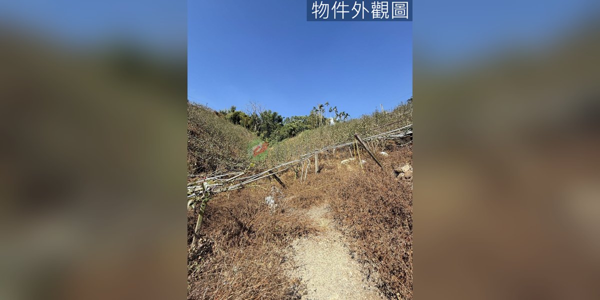 東勢實景照片3