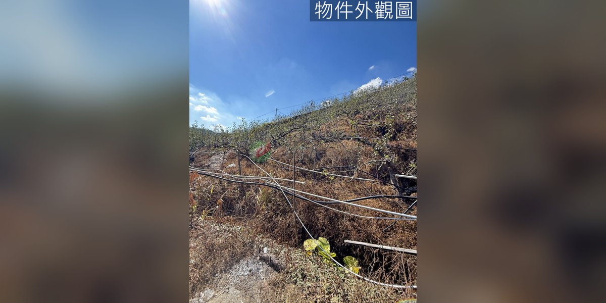有巢氏房屋 物件實景