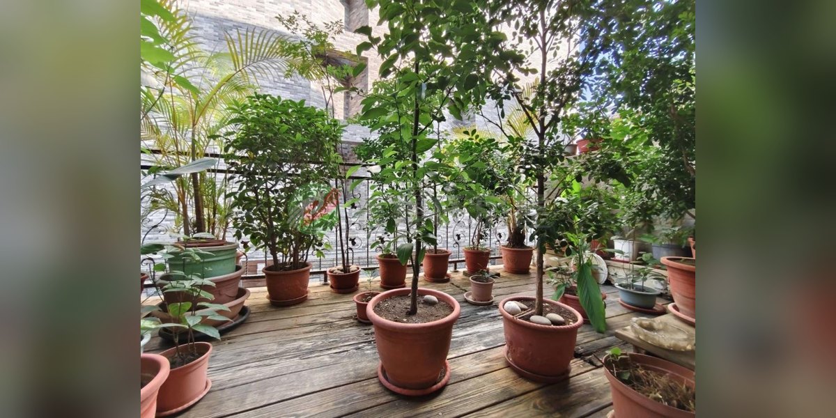 有巢氏房屋 物件實景